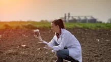 DIA DO ENGENHEIRO AGRÍCOLA: 9 MATÉRIAS DA FACULDADE